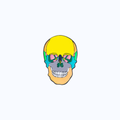 Pin Metálico Color Skull Anatomy