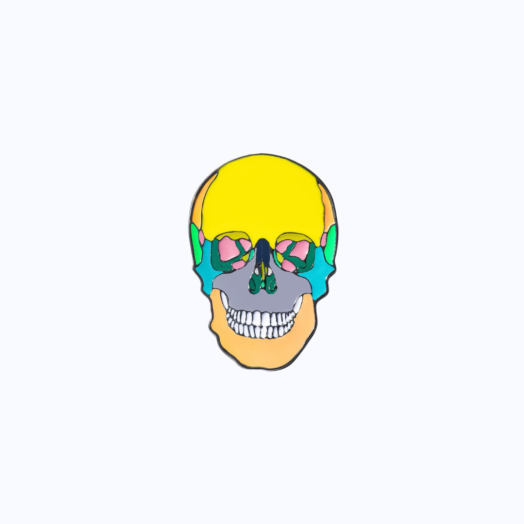 Pin Metálico Color Skull Anatomy