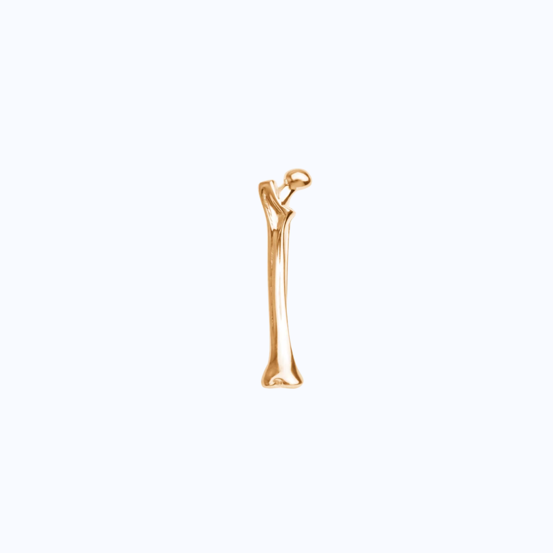 Pin Metálico Femur