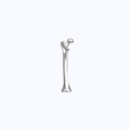 Pin Metálico Femur