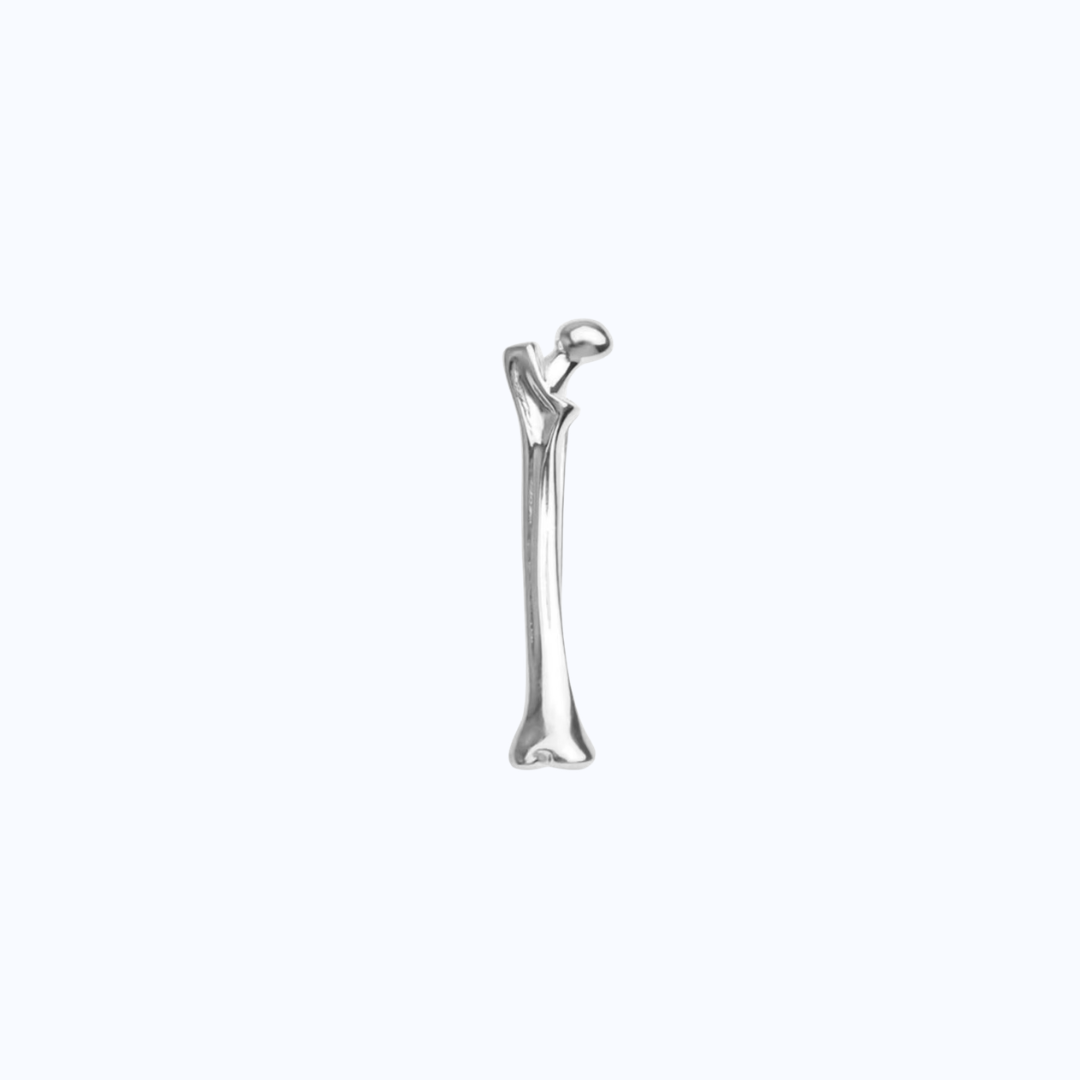 Pin Metálico Femur