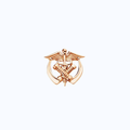 Pin Metálico Anesthesia Caduceus