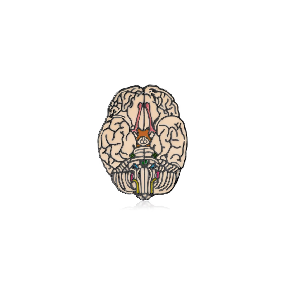 Pin Metálico Brain Base Anatomy