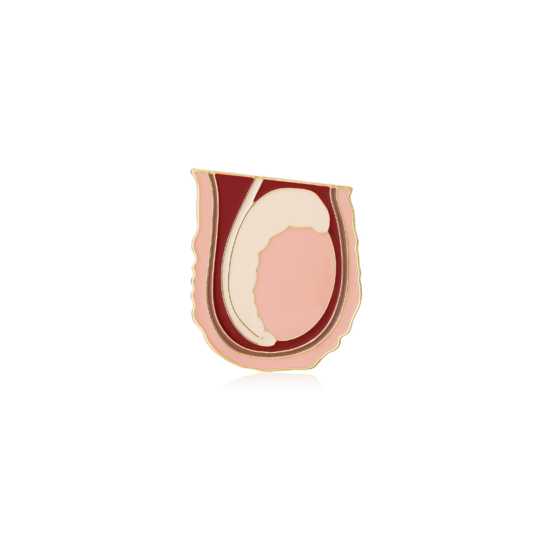 Pin Metálico Testicular Anatomy