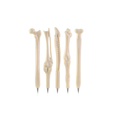 Bolígrafos Anatomy Bone Pens