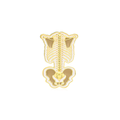 Pin Metálico Columna Vertebral Posterior